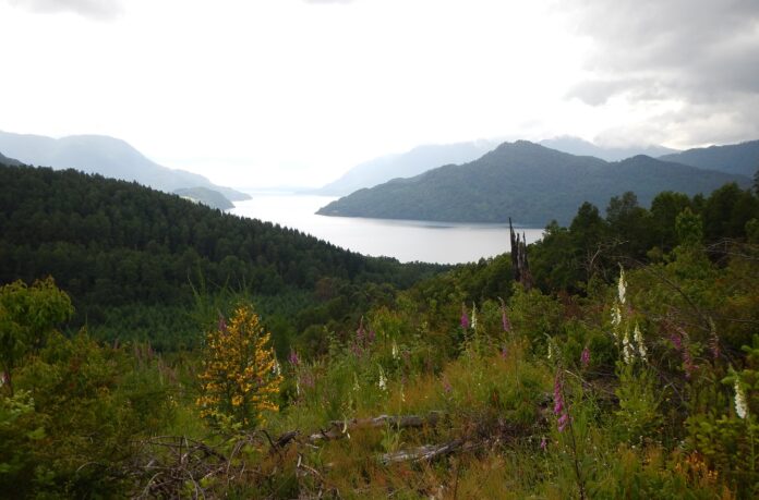 Výhled na jezero Panguipulli pod vulkánem Mocho Choshuenco v Chile.