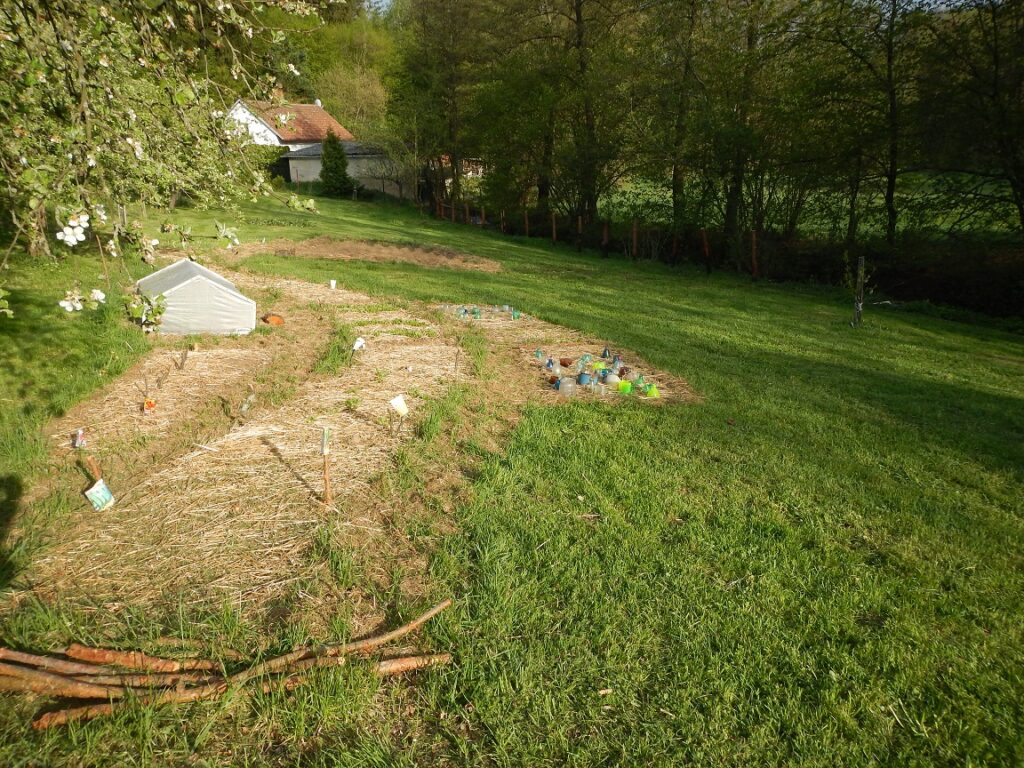 Nově zřizovaná zahrada na začátku května